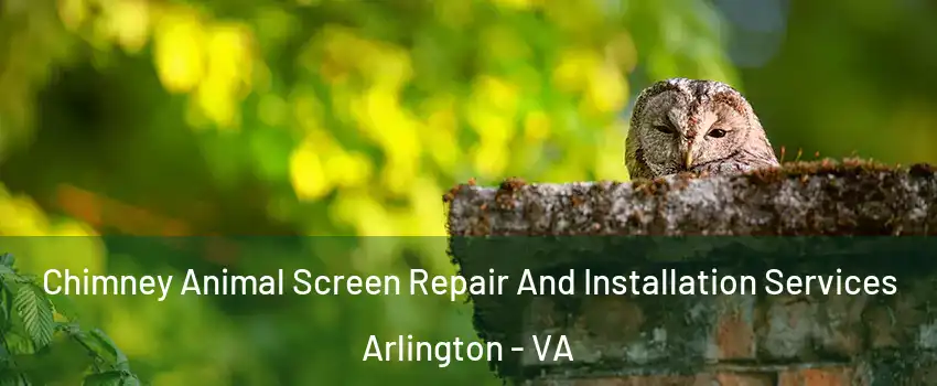 Chimney Animal Screen Repair And Installation Services Arlington - VA