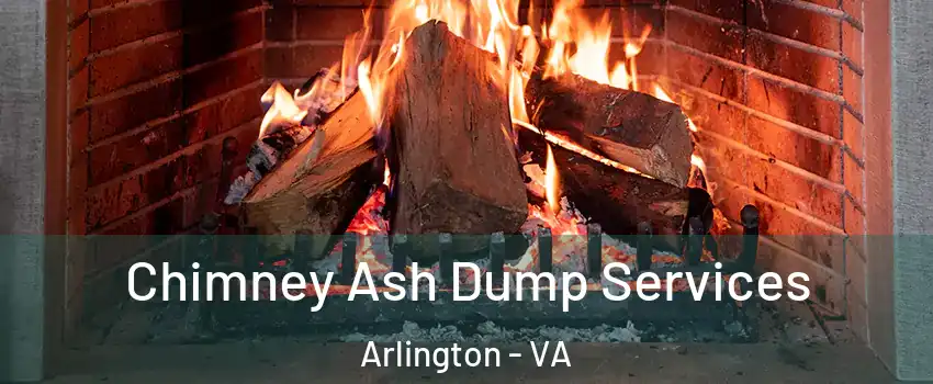 Chimney Ash Dump Services Arlington - VA