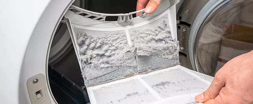 Best Dryer Lint Removal Company in Arlington, Virginia