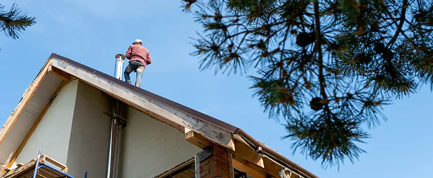 Birds Removal Contractors from Chimney in Arlington, VA