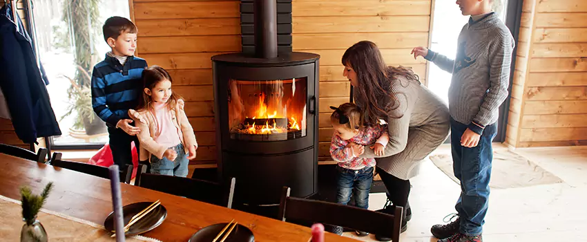 Jøtul Gas Fireplace Inspection Service in Arlington, Virginia