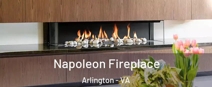Napoleon Fireplace Arlington - VA